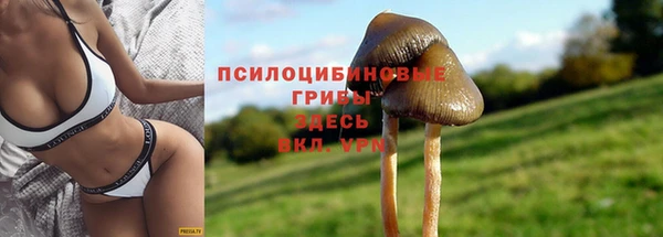 spice Алексеевка