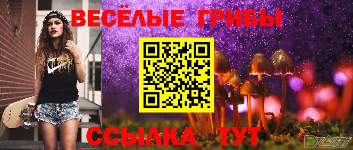 Псилоцибиновые грибы мухоморы Назрань