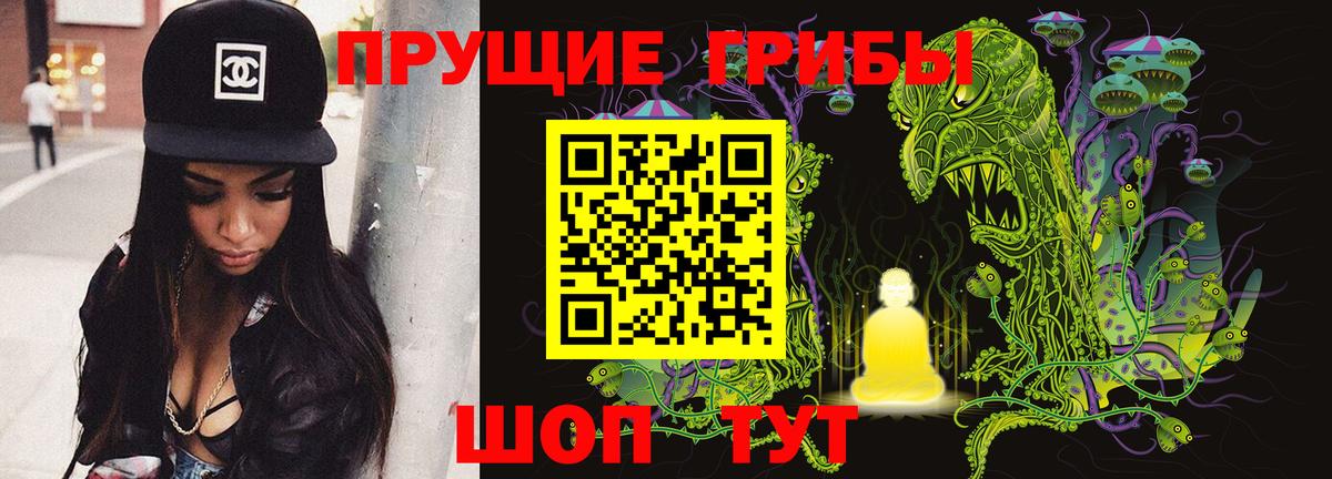 Назрань  Галлюциногенные грибы прущие грибы  купить  сайты  Вход с VPN 